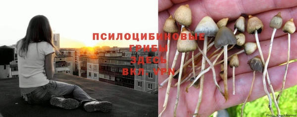 дживик Верхний Тагил