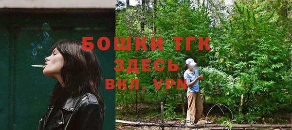 дживик Верхний Тагил