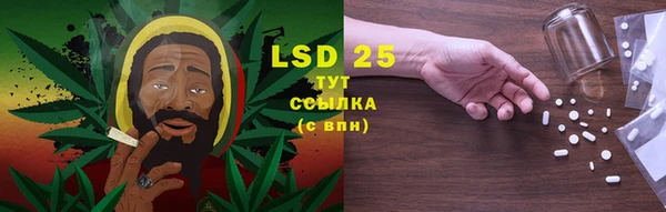 PSILOCYBIN Верея