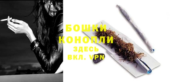 PSILOCYBIN Верея