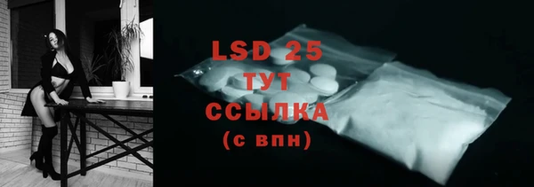 PSILOCYBIN Верея