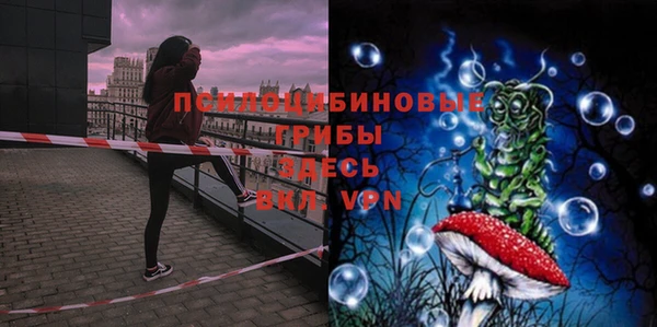 PSILOCYBIN Верея