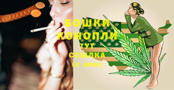 дживик Верхний Тагил